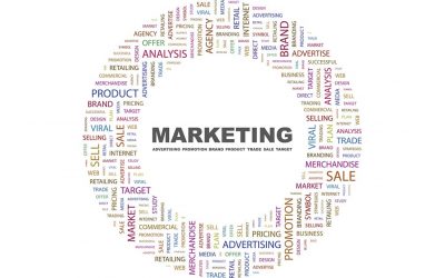 Advertising Agency vs. Marketing Company