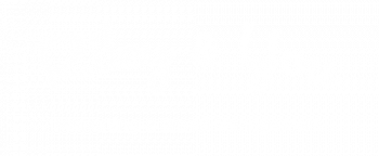 Riley & You Marketing & Brand Management