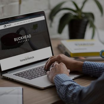 Buckhead Vacuums on Laptop