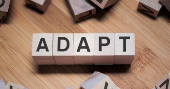Blocks spelling Adapt